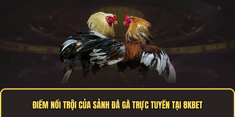 Điểm nổi trội của sảnh đá gà trực tuyến
