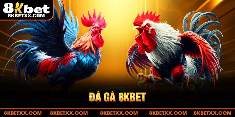 Giới thiệu về đá gà 8KBET