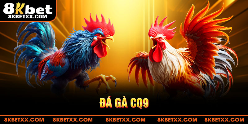 đá gà CQ9