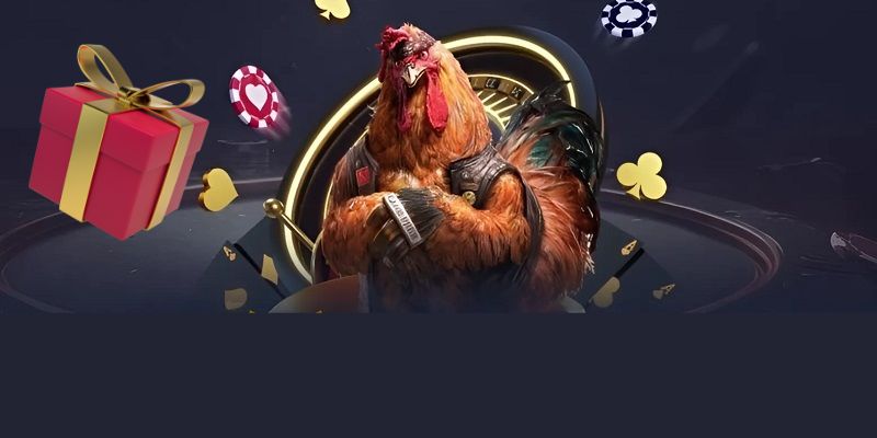 Hưởng lợi ích từ ưu đãi chọi gà