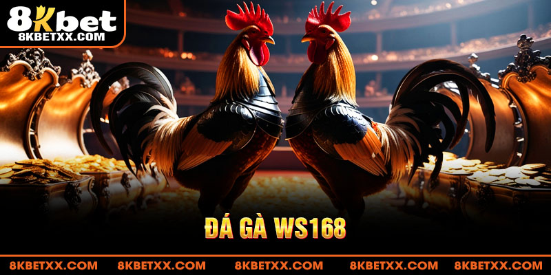 đá gà WS168